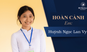 The situation of Huynh Ngoc Lan Vy