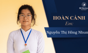 The situation of Nguyen Thi Hong Nhung
